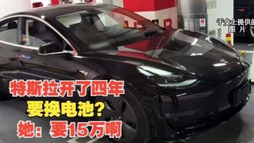 中国发现全球最古老鸟类,三期必出三期必出特,全面解答解释落实_测试版V5.88
